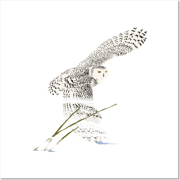 The snowy owl in flight Wall Art by RobertBretonArt